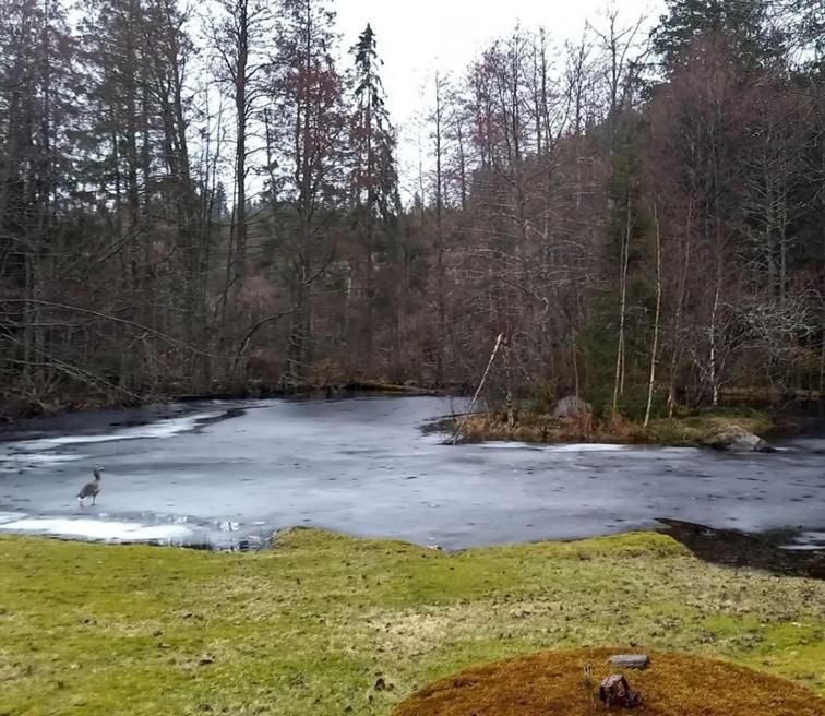 Gaeststuga I Vacker Natur, Bastu, Bubbelpool Sommartid Och Gratis Parkering Naera Ulricehamn Och Lassalyckan, Guesthouse With Nice View With Sauna And Free Parking Close To Dalsjoefors And Fishing Бурос Экстерьер фото